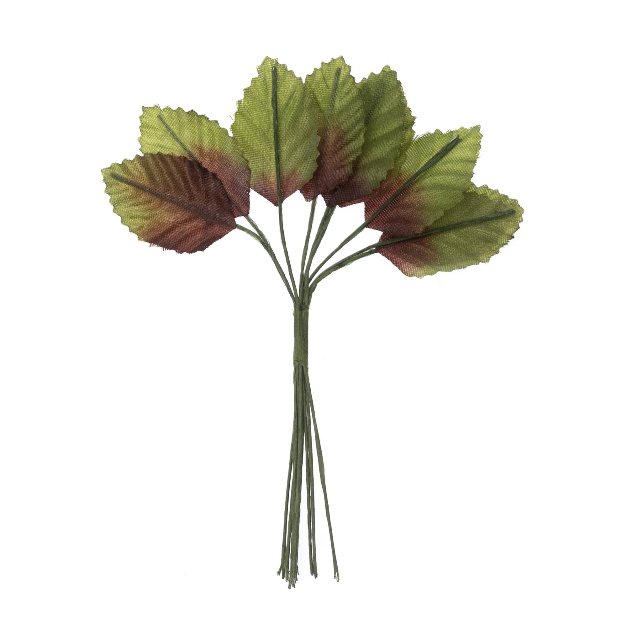 Green and Purple Rose Leaves 12 Pack