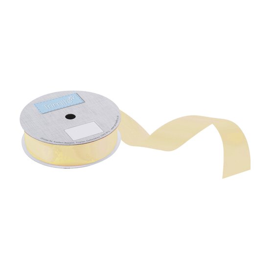 Trimits Raw Silk Double-Faced Satin Ribbon by the Metre 25mm