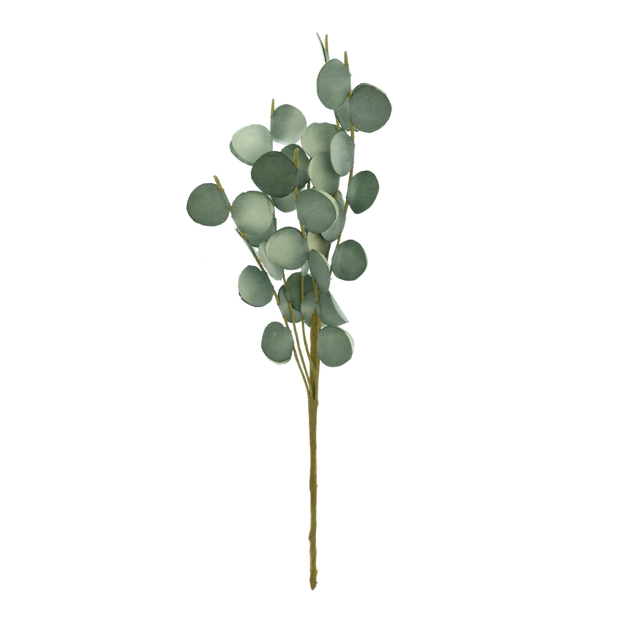 Paper Eucalyptus Pick 30cm