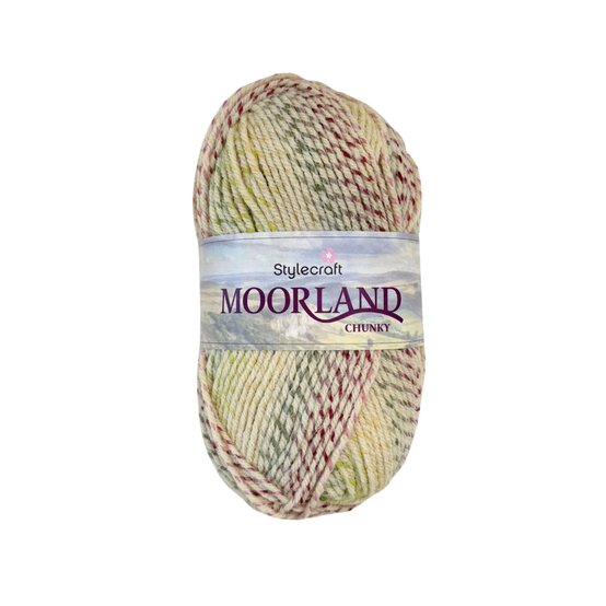 Stylecraft Lichen Moorland Chunky 100g