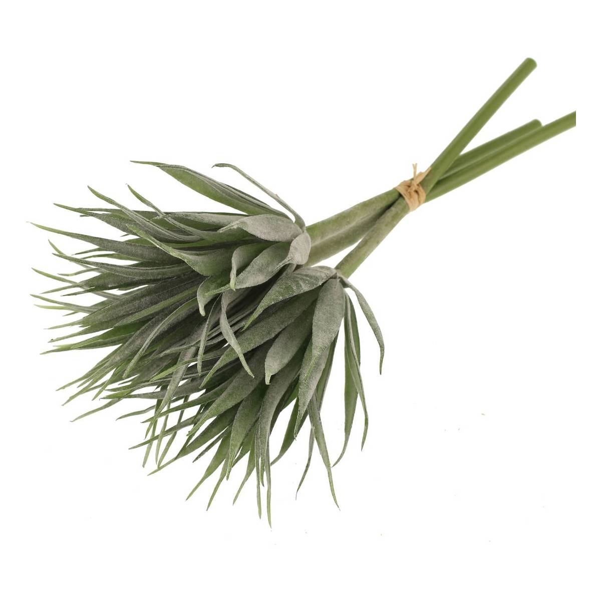 Flocked Crassula Bundle 3 Pieces