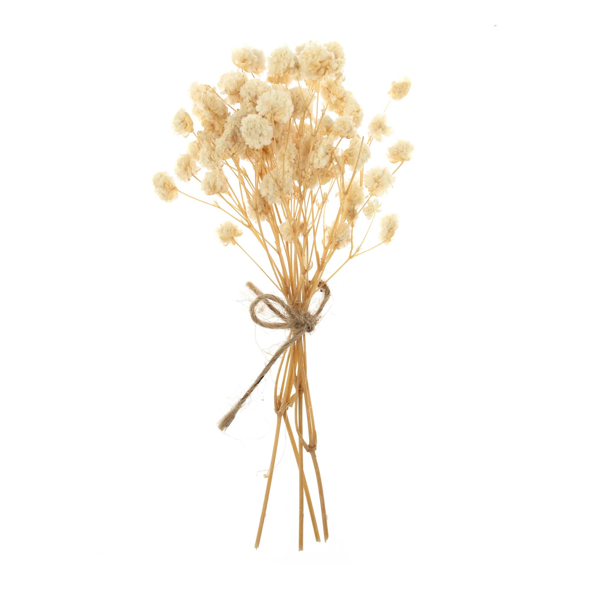 Natural Dried Gypsophila Flower Picks 13cm