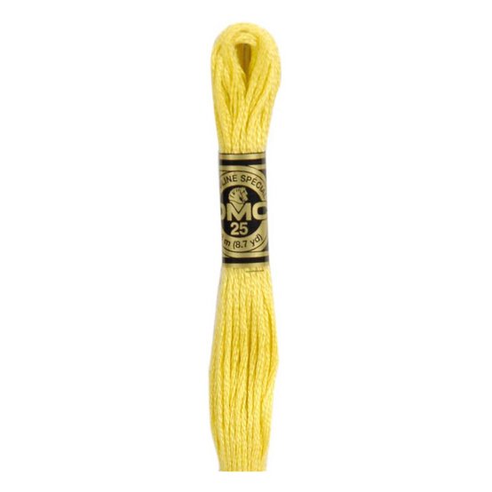 DMC Yellow Mouline Special 25 Cotton Thread 8m (017)