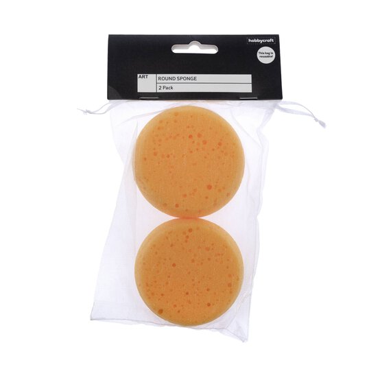 Small Synthetic Round Sponge 2 Pack