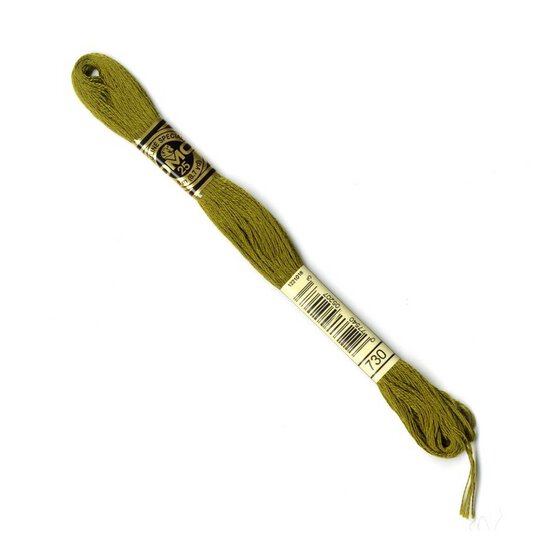 DMC Green Mouline Special 25 Cotton Thread 8m (730)