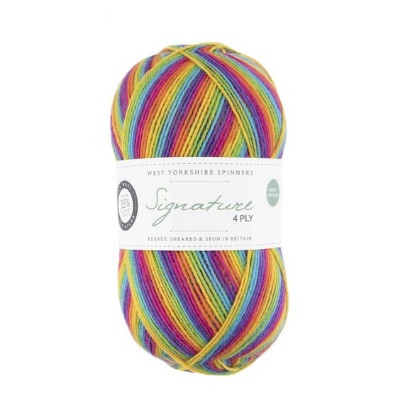 West Yorkshire Spinners Rum Paradise Signature 4 Ply Yarn 100g