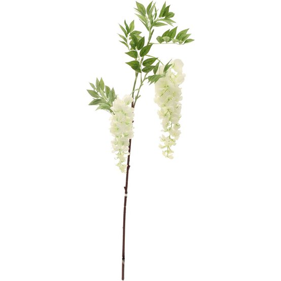 White Two Head Wisteria 90cm