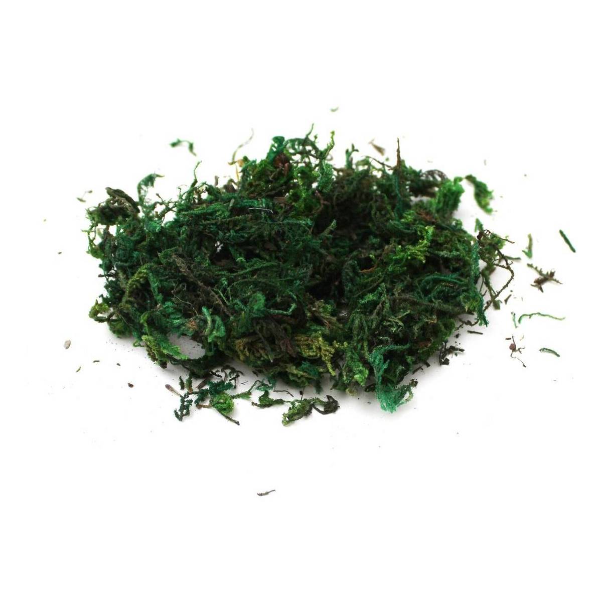 Green Moss 40g