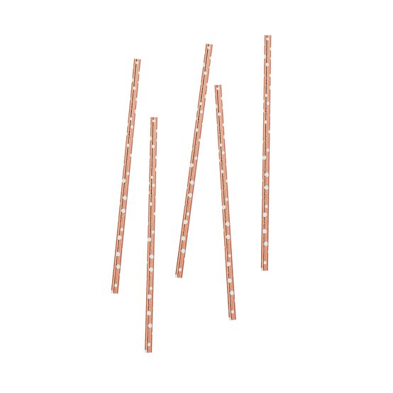 Rose Gold Paper Straws 20 Pack