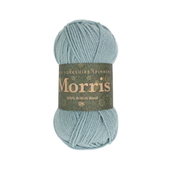 West Yorkshire Spinners Hyacinth Morris DK 50g