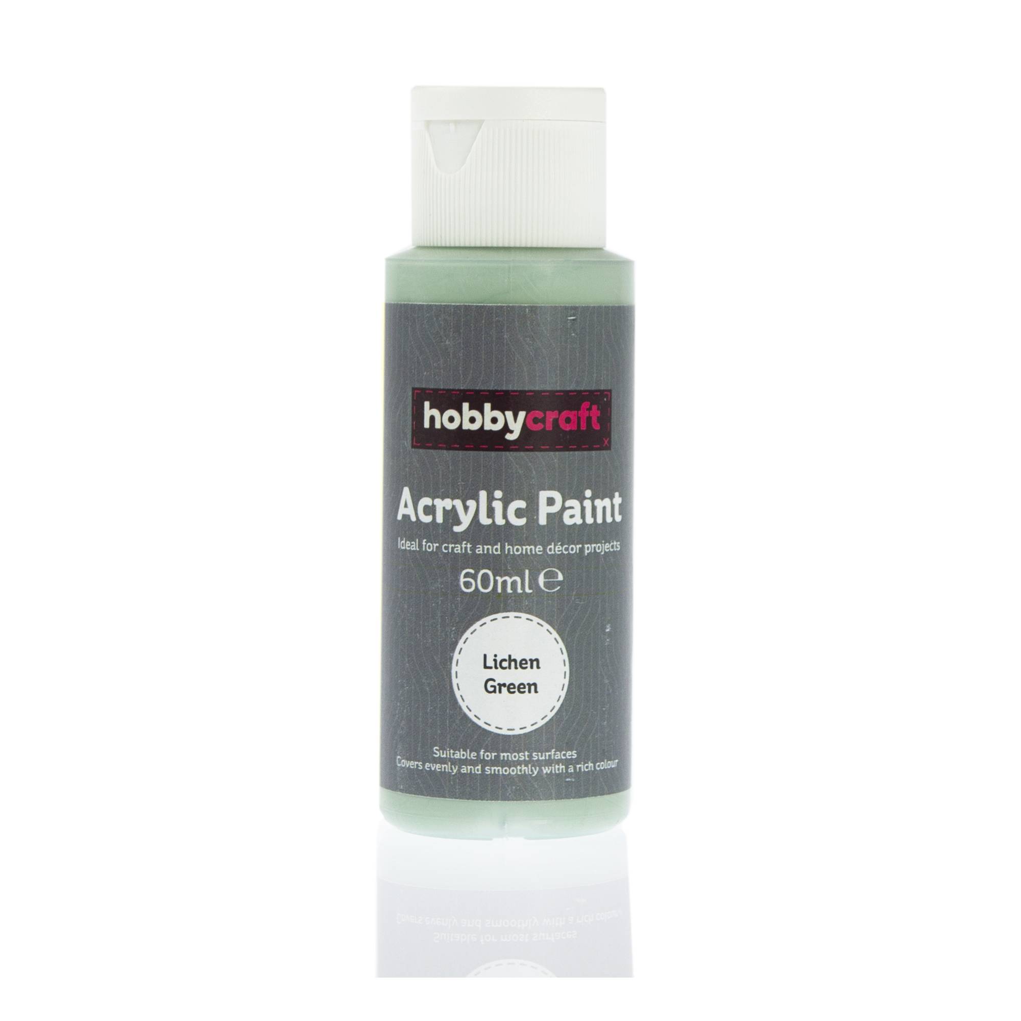Lichen Green Acrylic Craft Paint 60ml