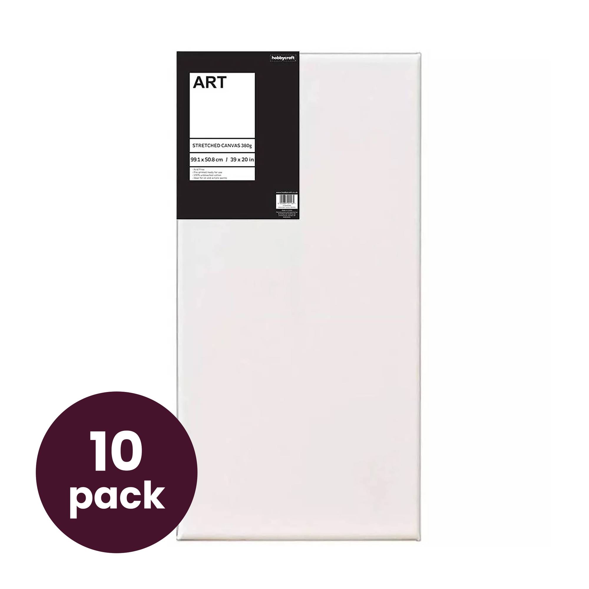 Stretched Canvas 100cm x 50cm 10 Pack Bundle