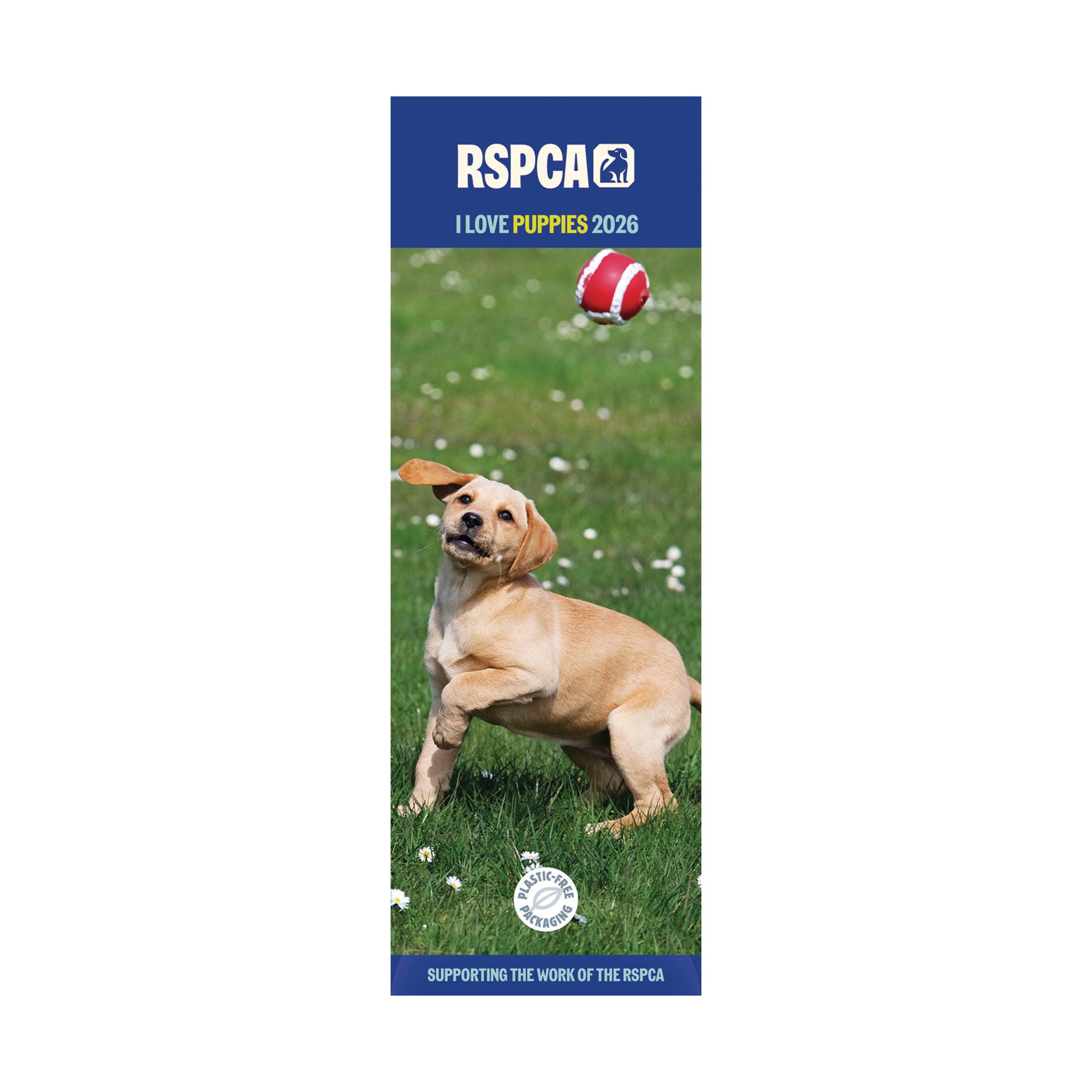 RSPCA I Love Puppies Slim Calendar 2026