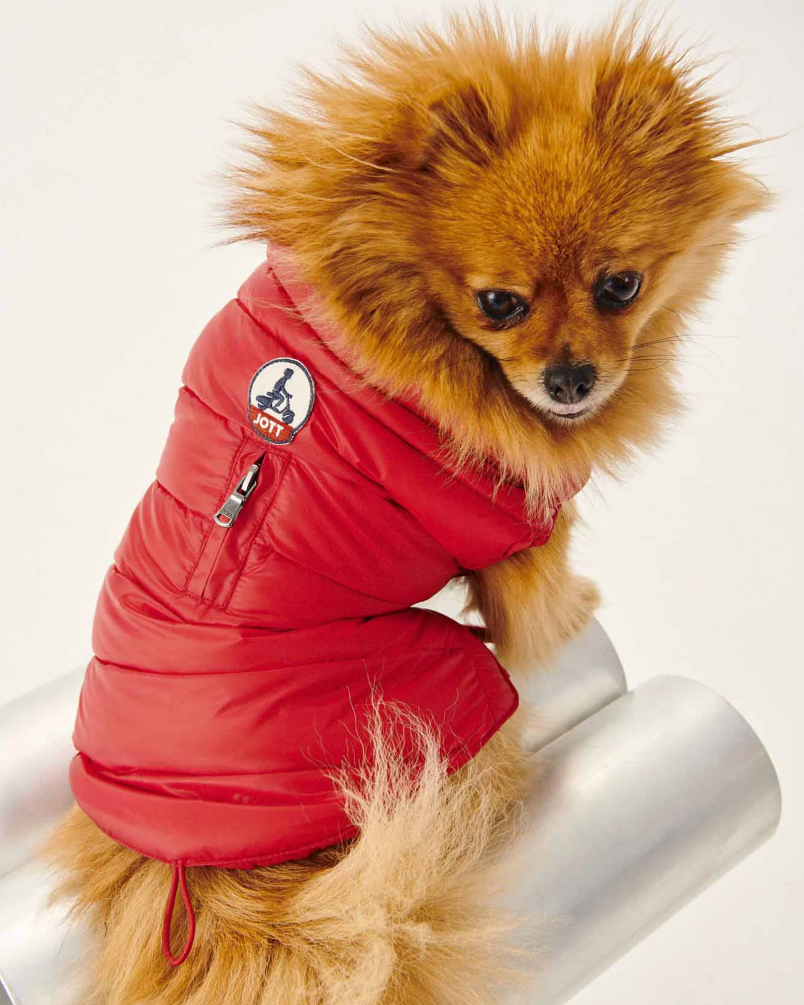 Down jacket for dogs Red Woop
