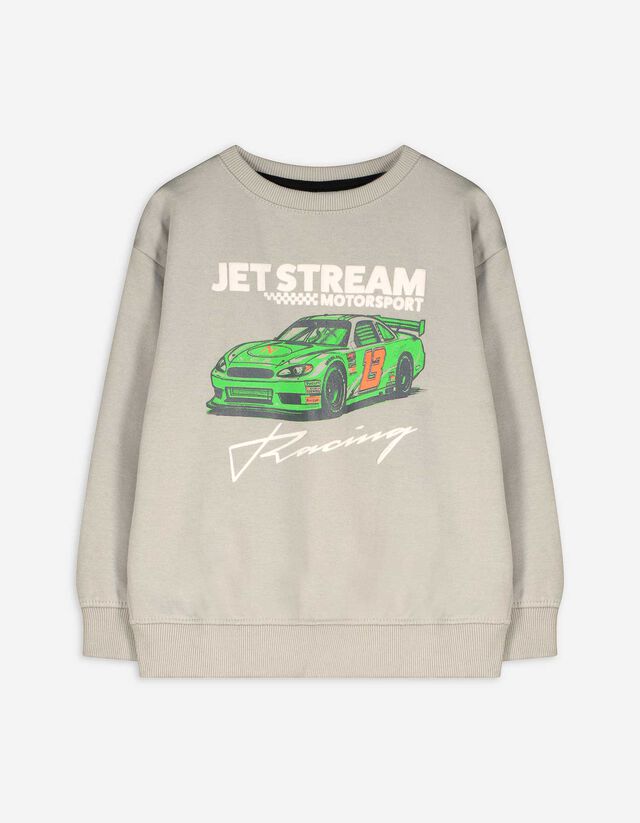Sweatshirt - Print - grau