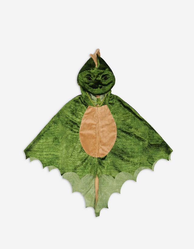 Kost&uuml;m - Drache&nbsp; -