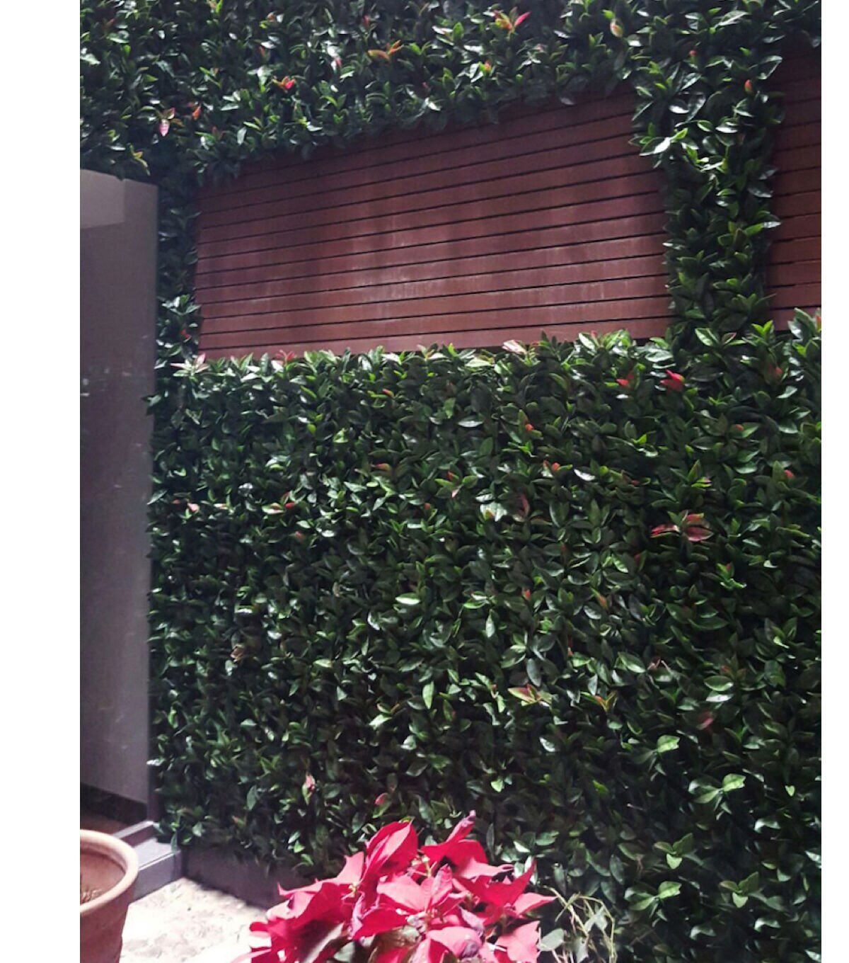 Greensmart Dekor 20 Artificial Laurel Style Plant Wall Panels 4pk