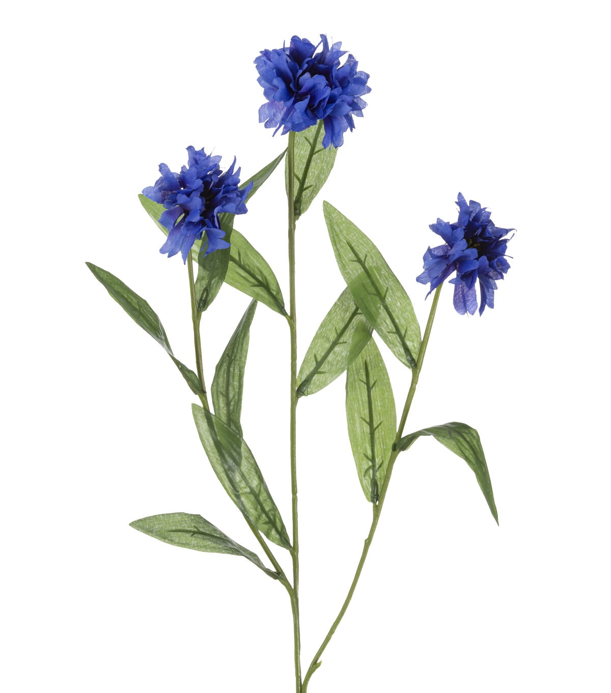 28 Blue Cornflower Stem by Bloom Room