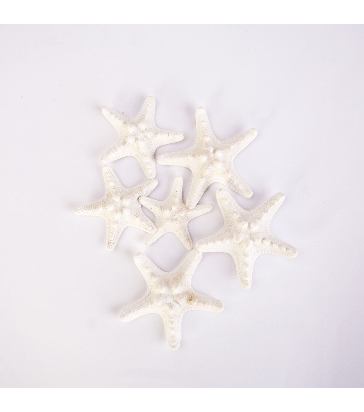 Panacea 6pc Philippine Finger Starfish
