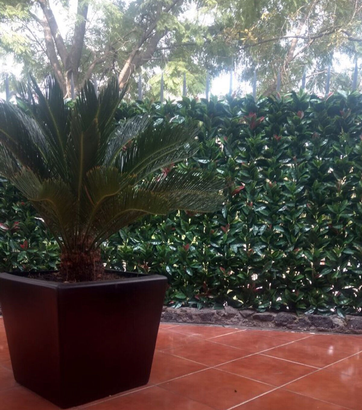 Greensmart Dekor 20 Artificial Laurel Style Plant Wall Panels 4pk