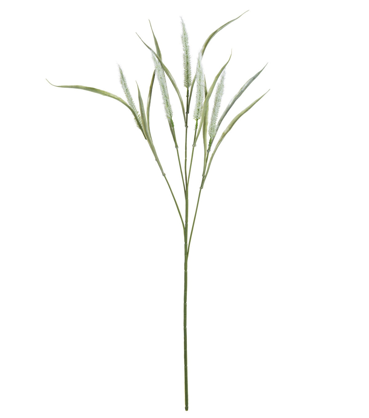 29 Green Cattail Stem by Bloom Room