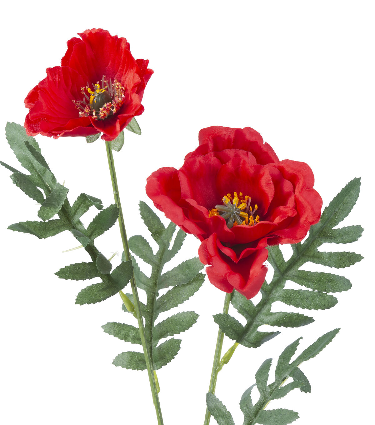 31 Red Poppy Stem by Bloom Room