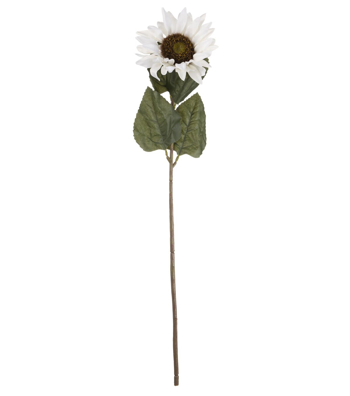 27 White Sunflower Stem by Bloom Room