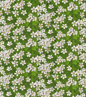 Fabric Traditions Garden Party Jasmines on Green Premium Cotton Fabric