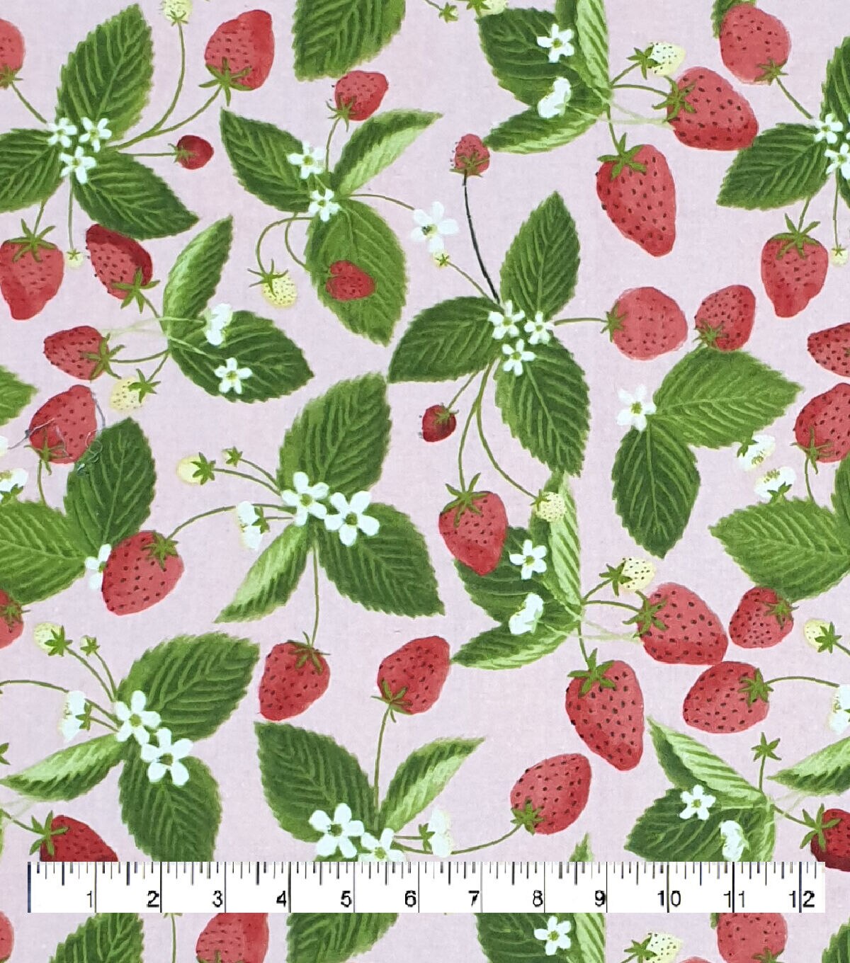 Strawberries Super Snuggle Flannel Fabric