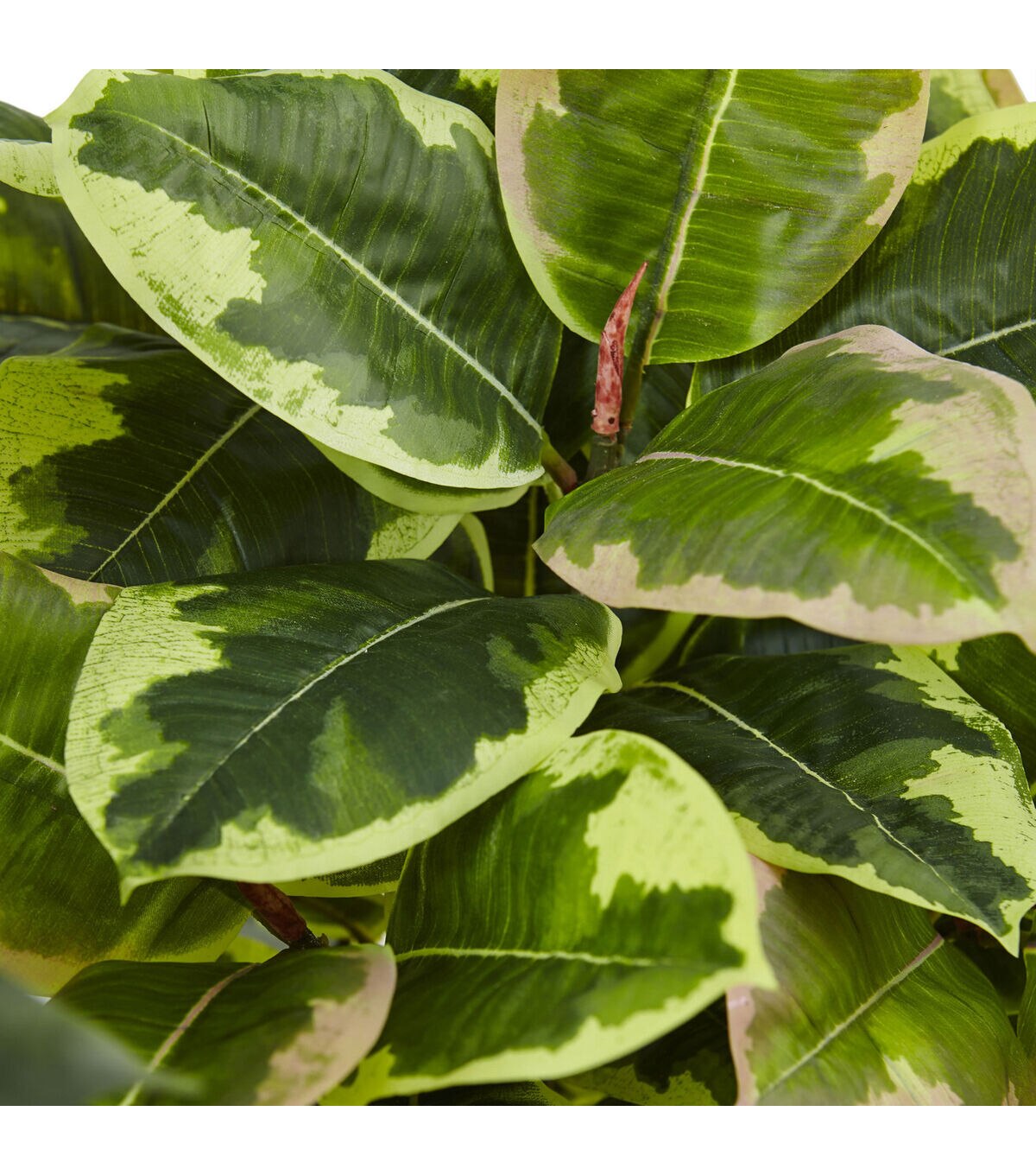 Nearly Natural 24 Artificial Real Touch Plant in Glossy Vase