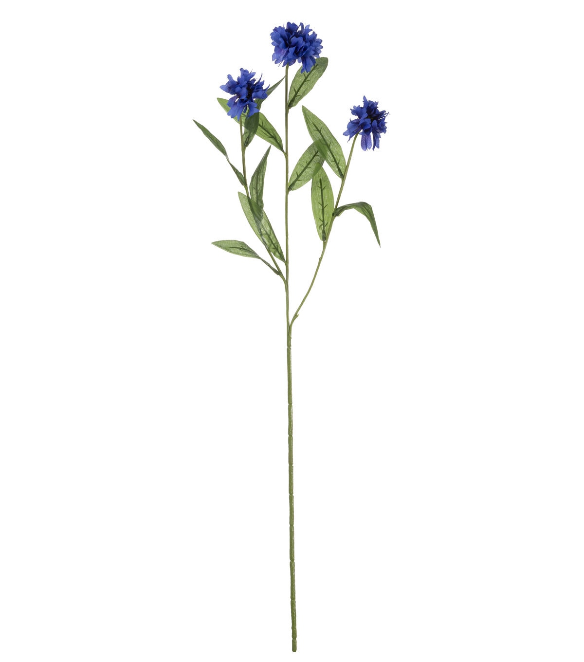 28 Blue Cornflower Stem by Bloom Room