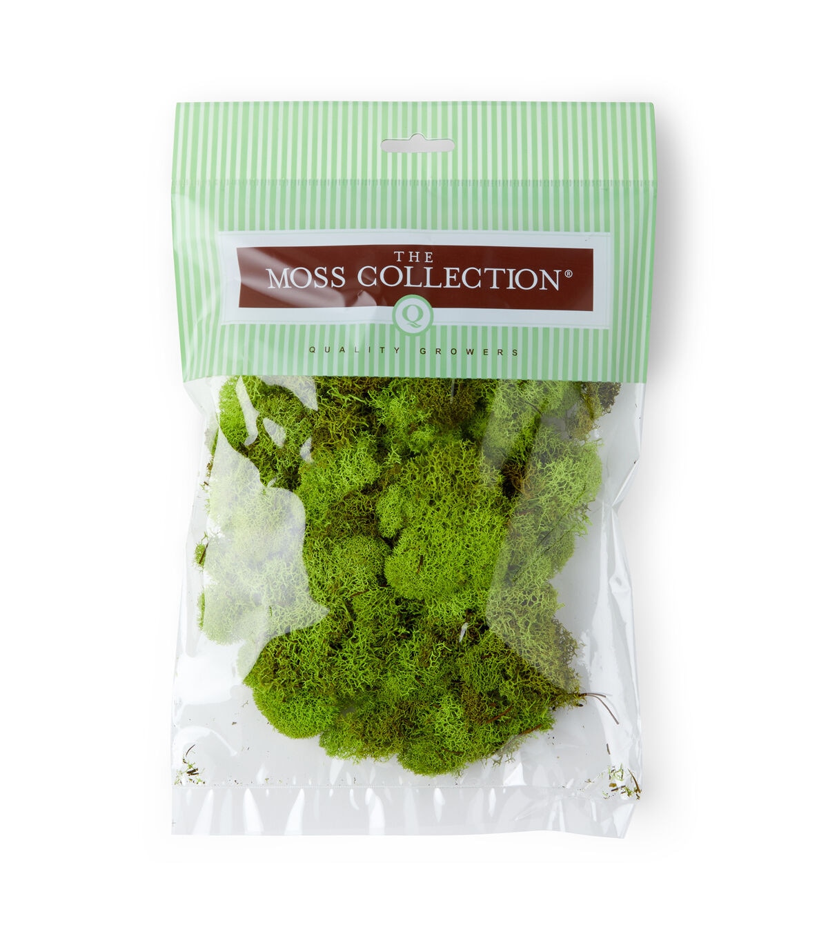 Quality Growers 100 Light Green Reindeer Moss