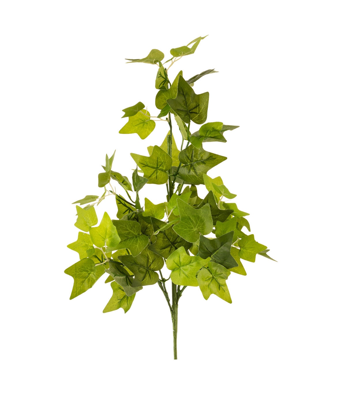 28 Green English Ivy Stem by Bloom Room