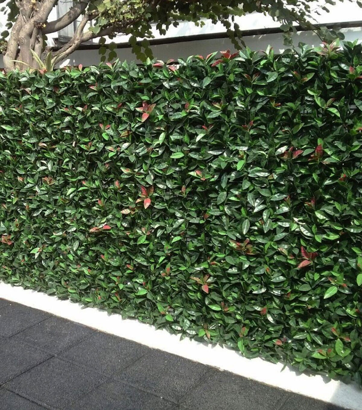 Greensmart Dekor 20 Artificial Laurel Style Plant Wall Panels 4pk