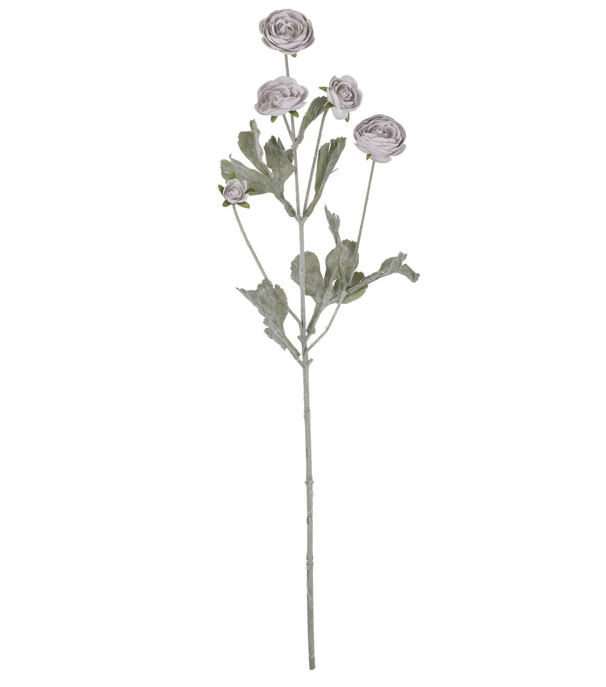 27 Gray Ranunculus Stem by Bloom Room