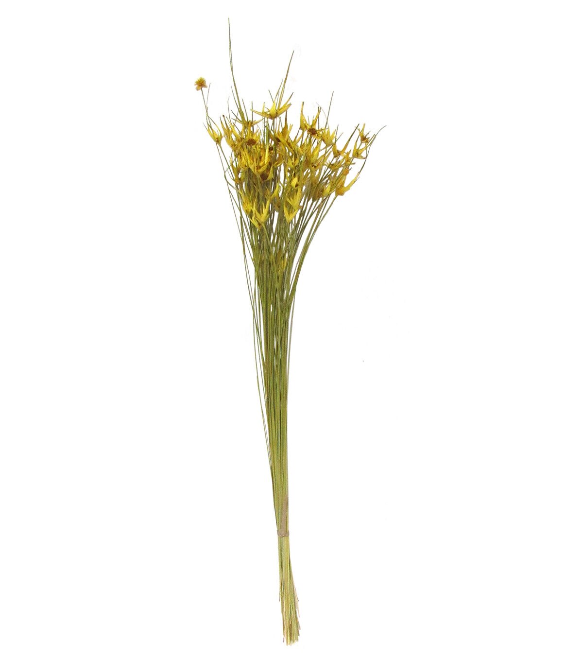 28 Golden Rod Dried Star Grass Bouquet by Bloom Room