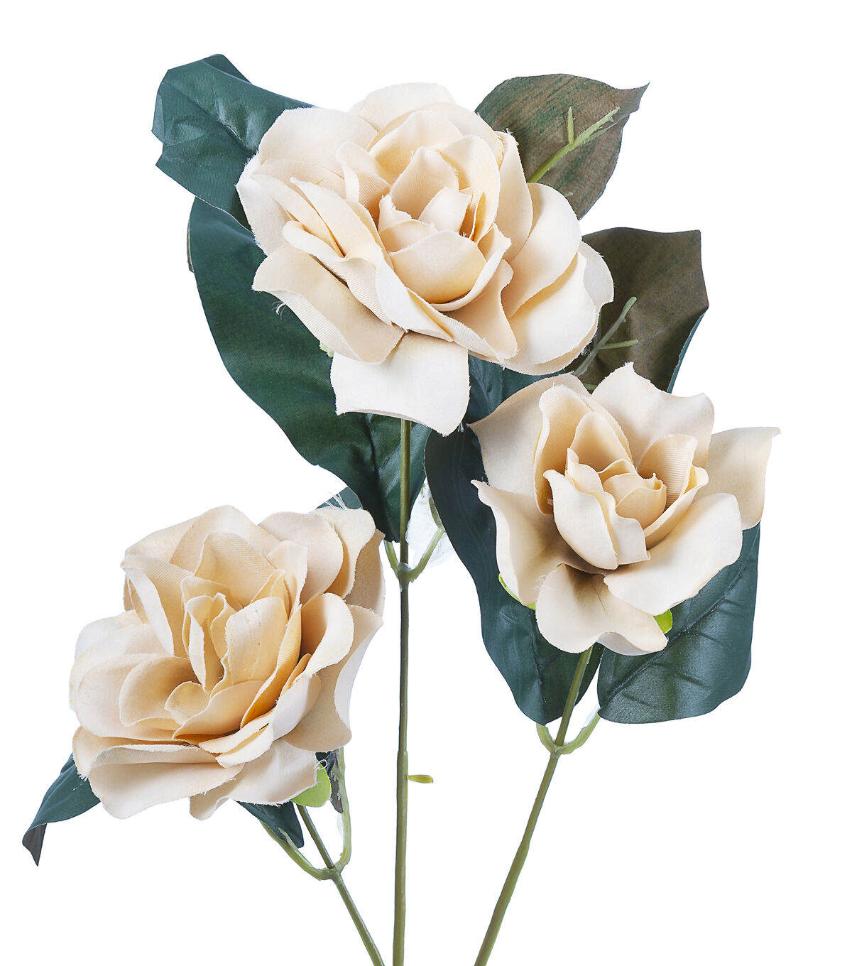 24.5 Toast Magnolia Stem by Bloom Room