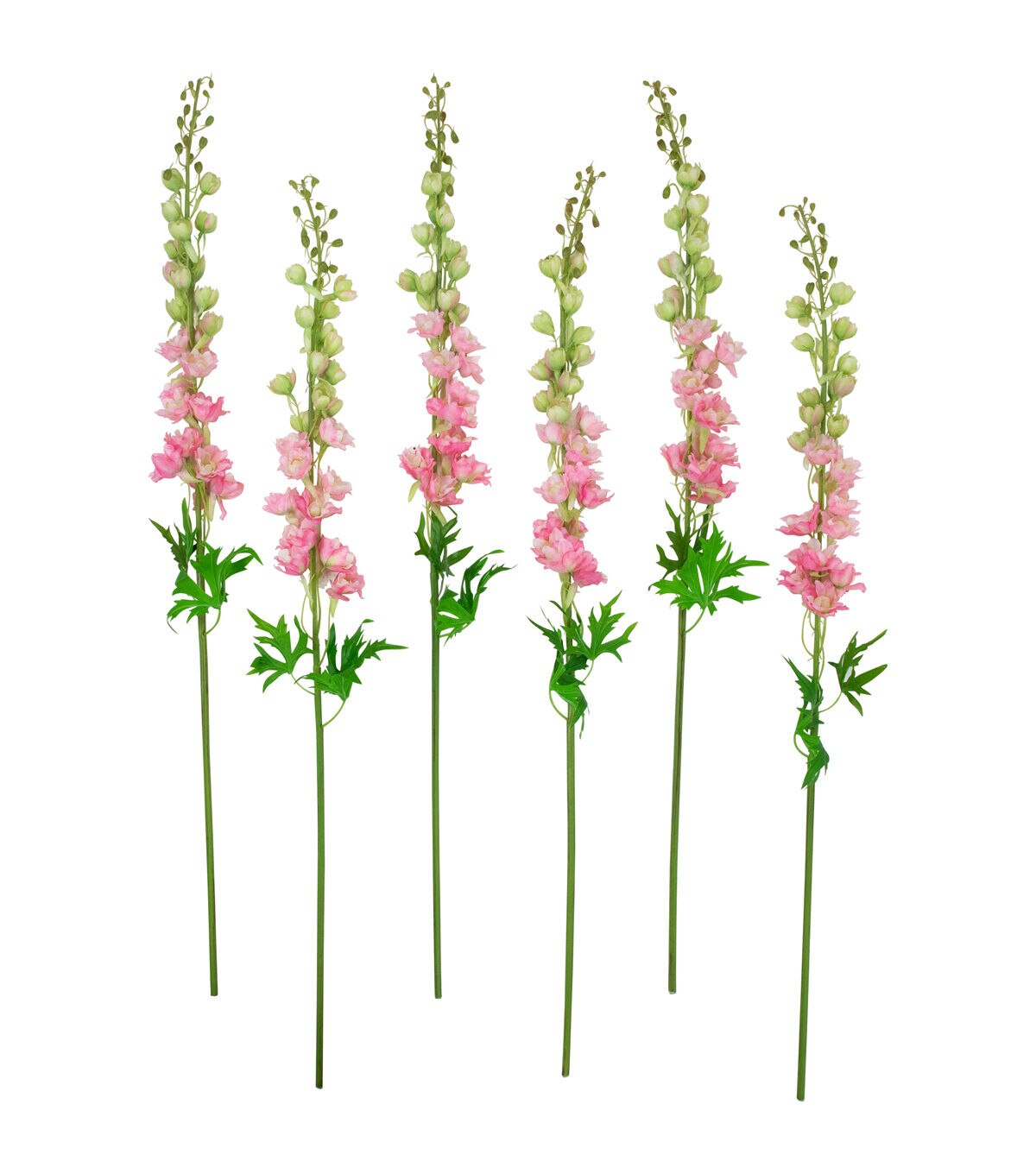 Northlight 40 Pink Delphinium Stems 6ct