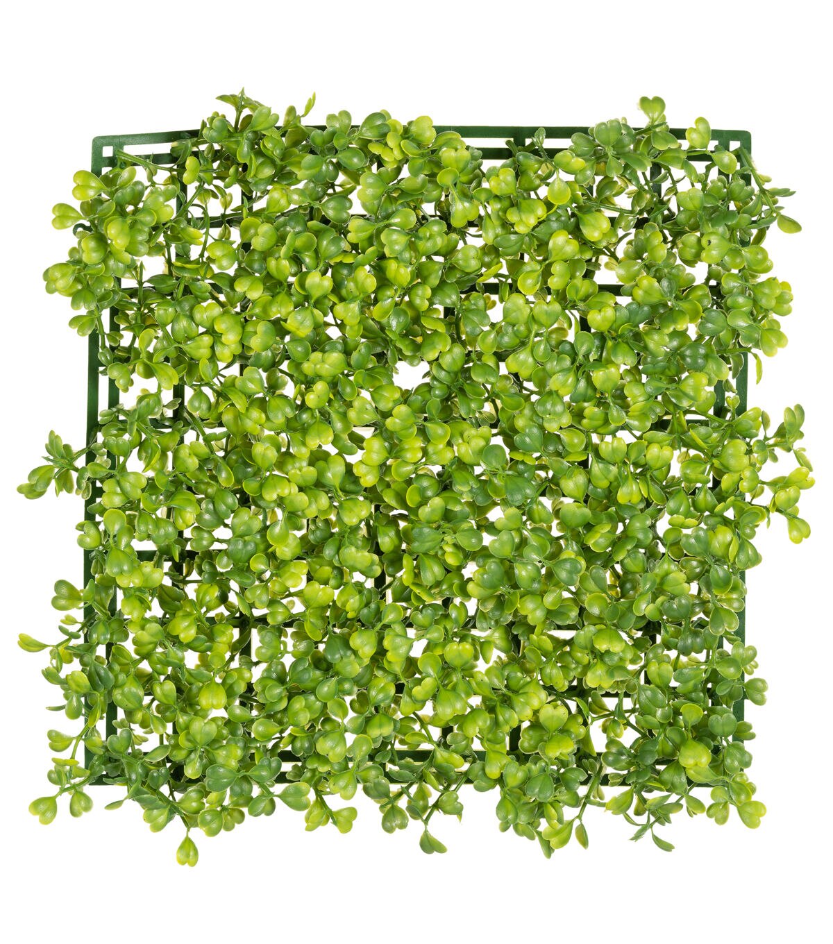 10 x 10 Boxwood Floral Tile by Bloom Room