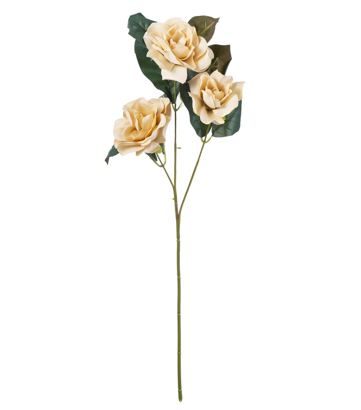 24.5 Toast Magnolia Stem by Bloom Room