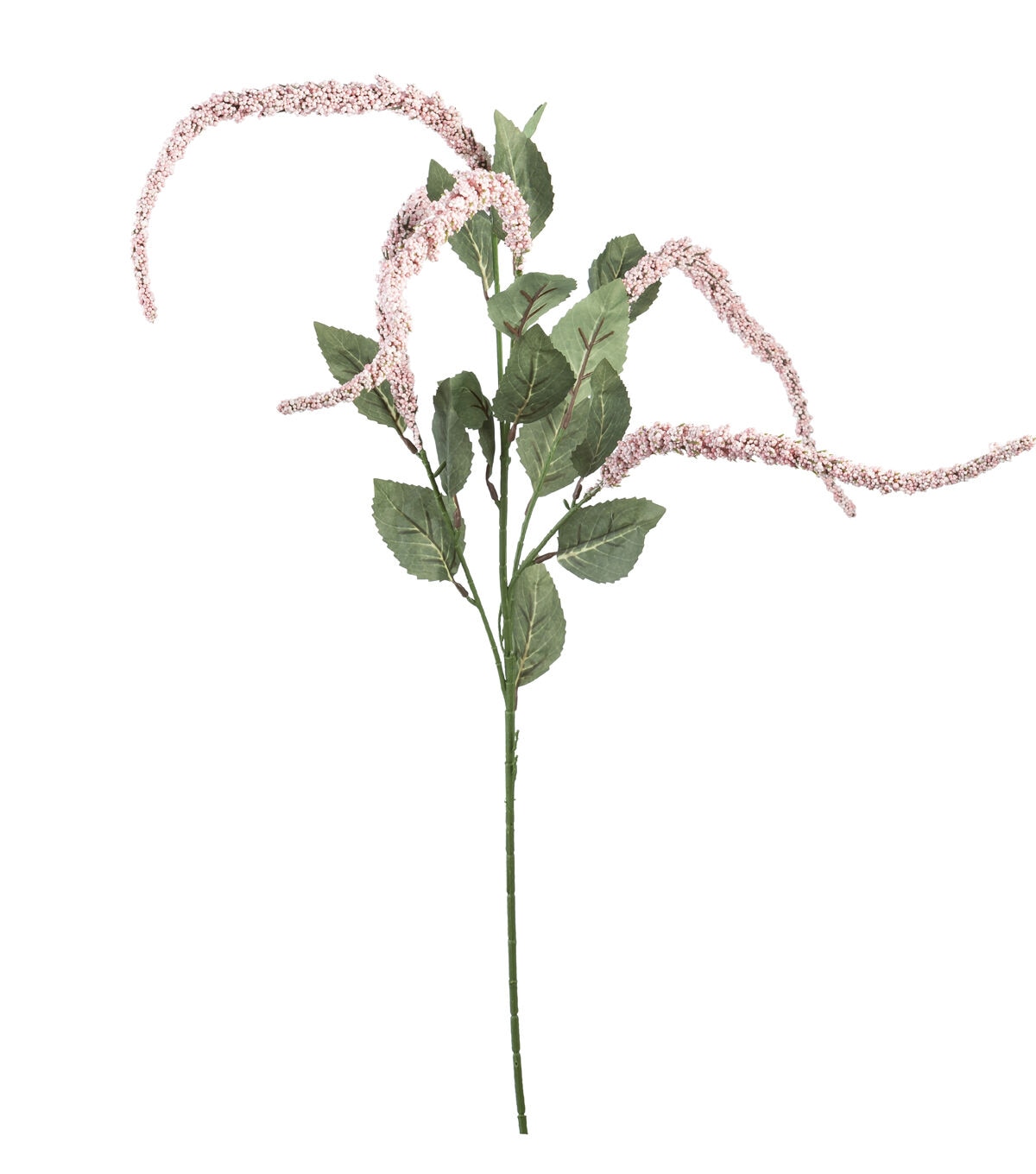 30 Pink Amaranthus Stem by Bloom Room