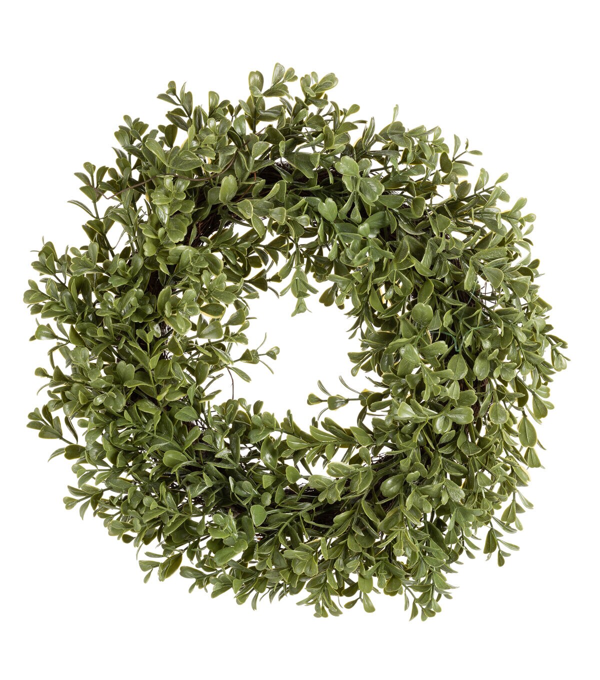 13.5'' Boxwood Wreath by Bloom Room