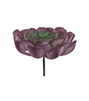 Flora Bunda 3.5 Artificial Echeveria Powder Succulent Plant 6ct