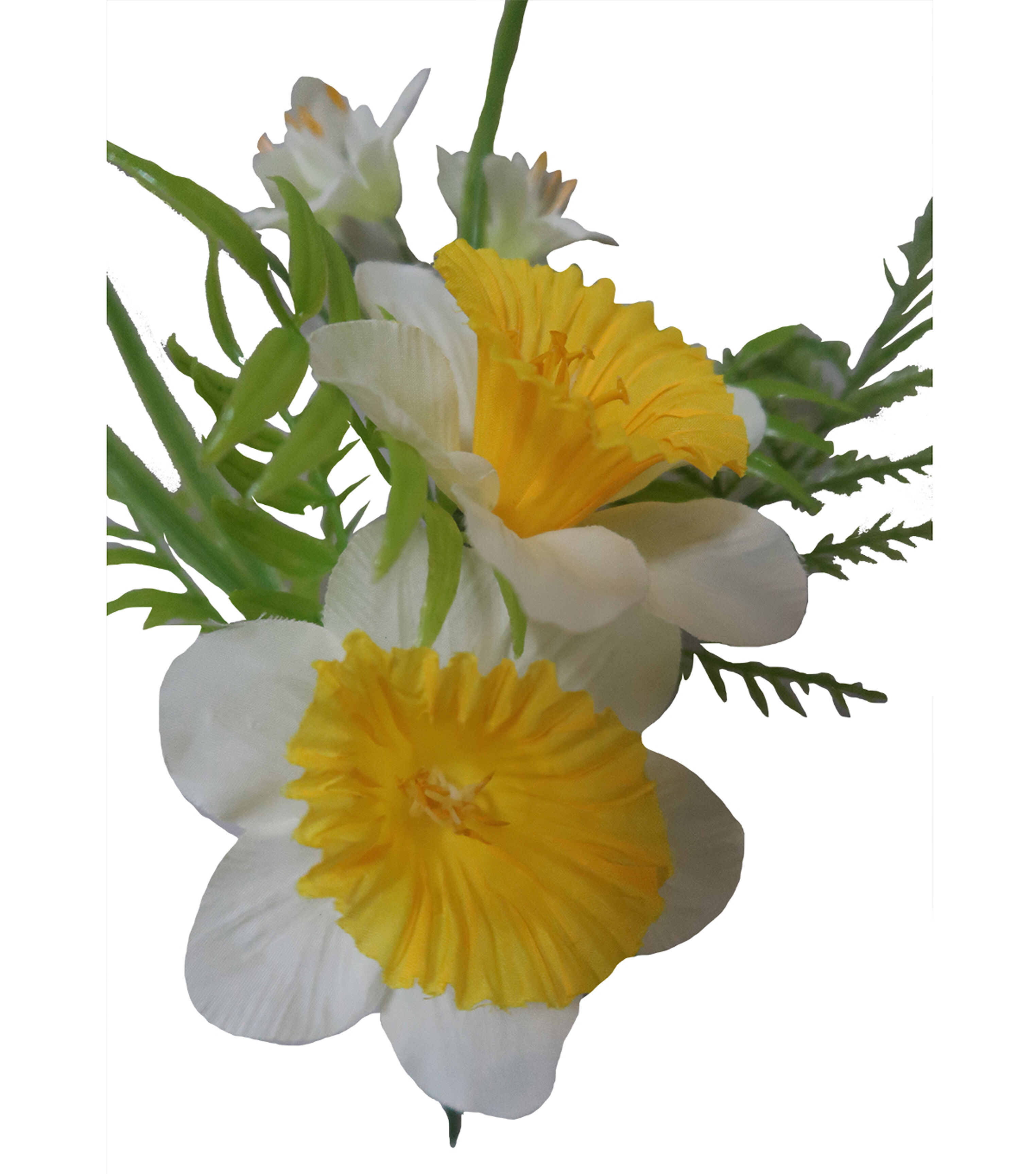 9 Yellow & White Daffodil Pick by Bloom Room