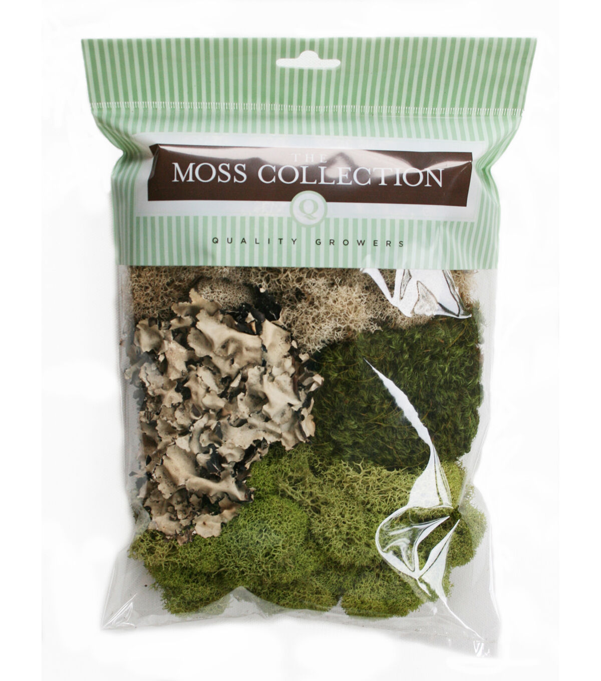 Quality Growers 108.5 Assorted Moss Mix