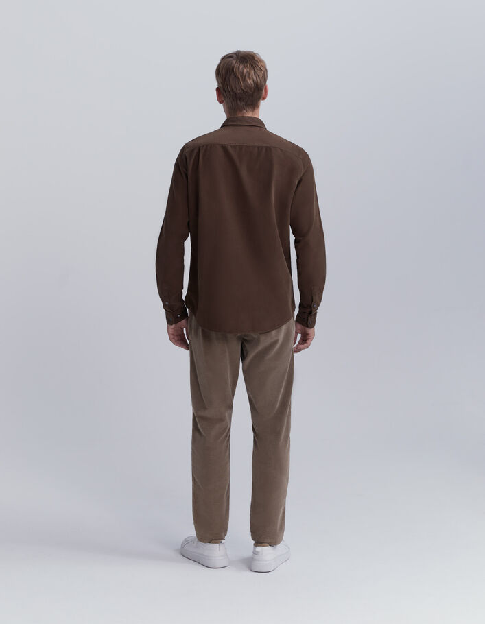 Chemise REGULAR cappuccino en velours milleraies Homme