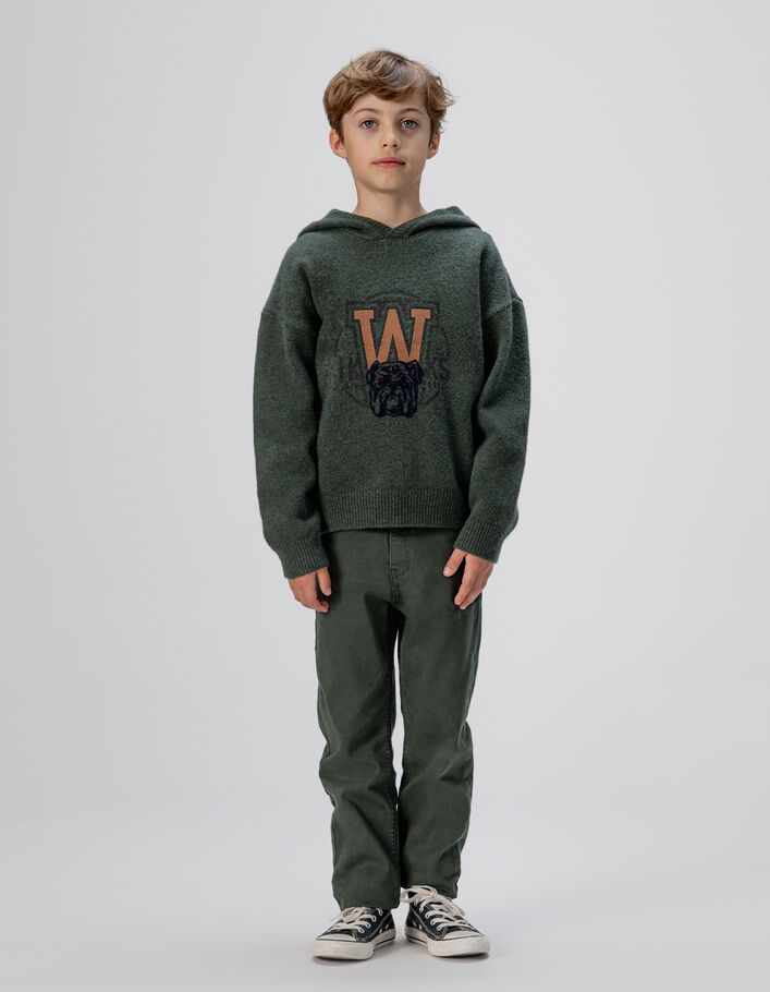 Pull &agrave; capuche vert tricot visuel chien gar&ccedil;on