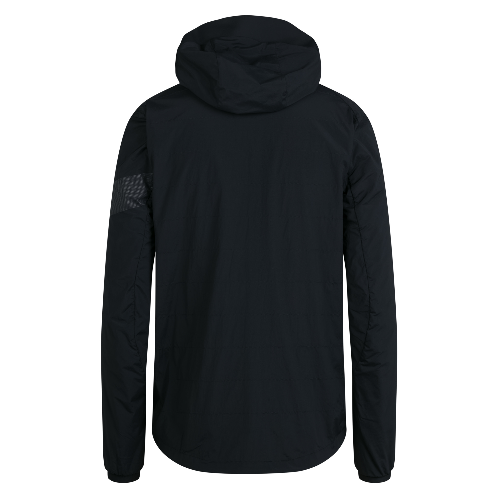 Men's Trail Insulated Jacket