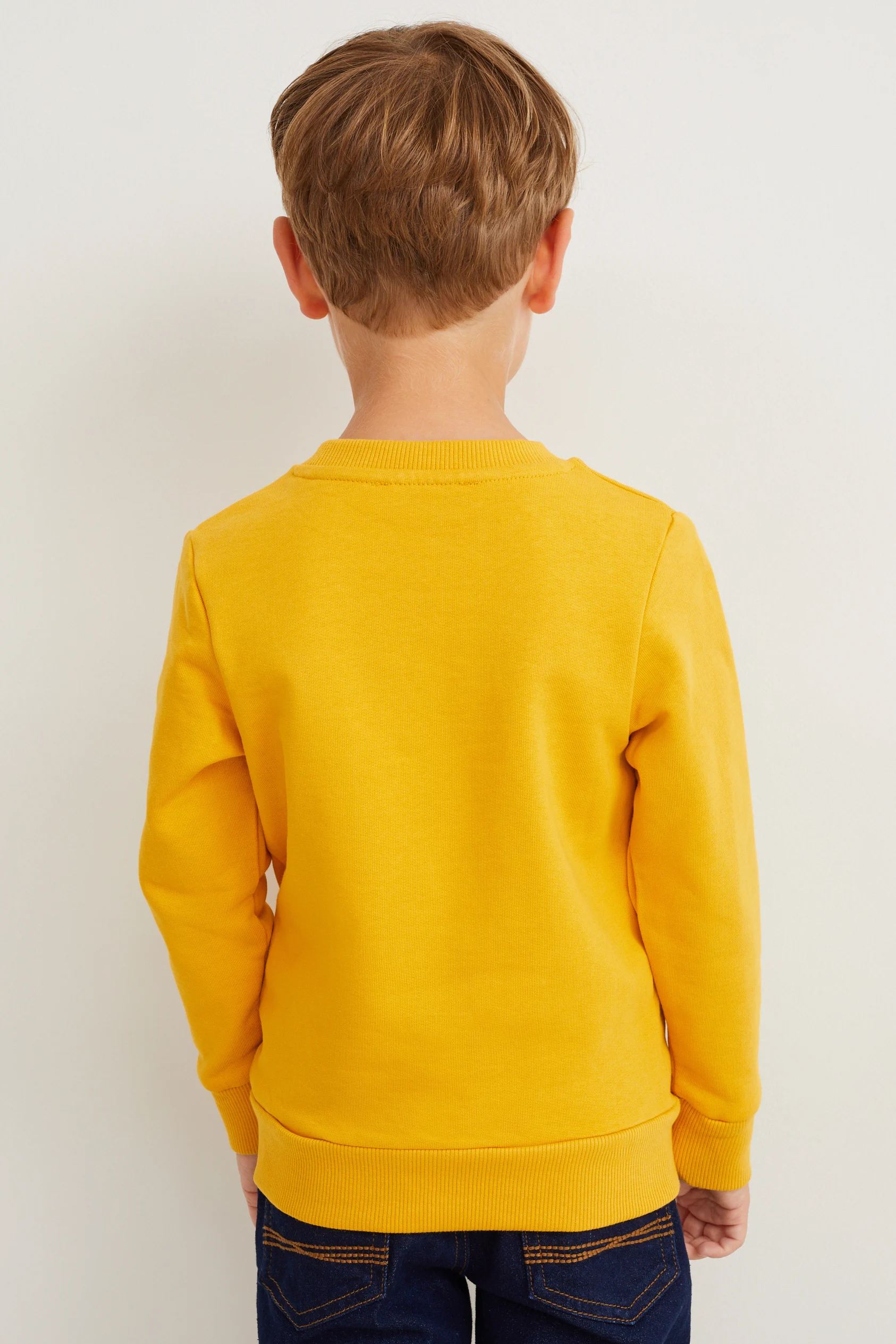 Multipack of 2 - dinosaur - sweatshirt