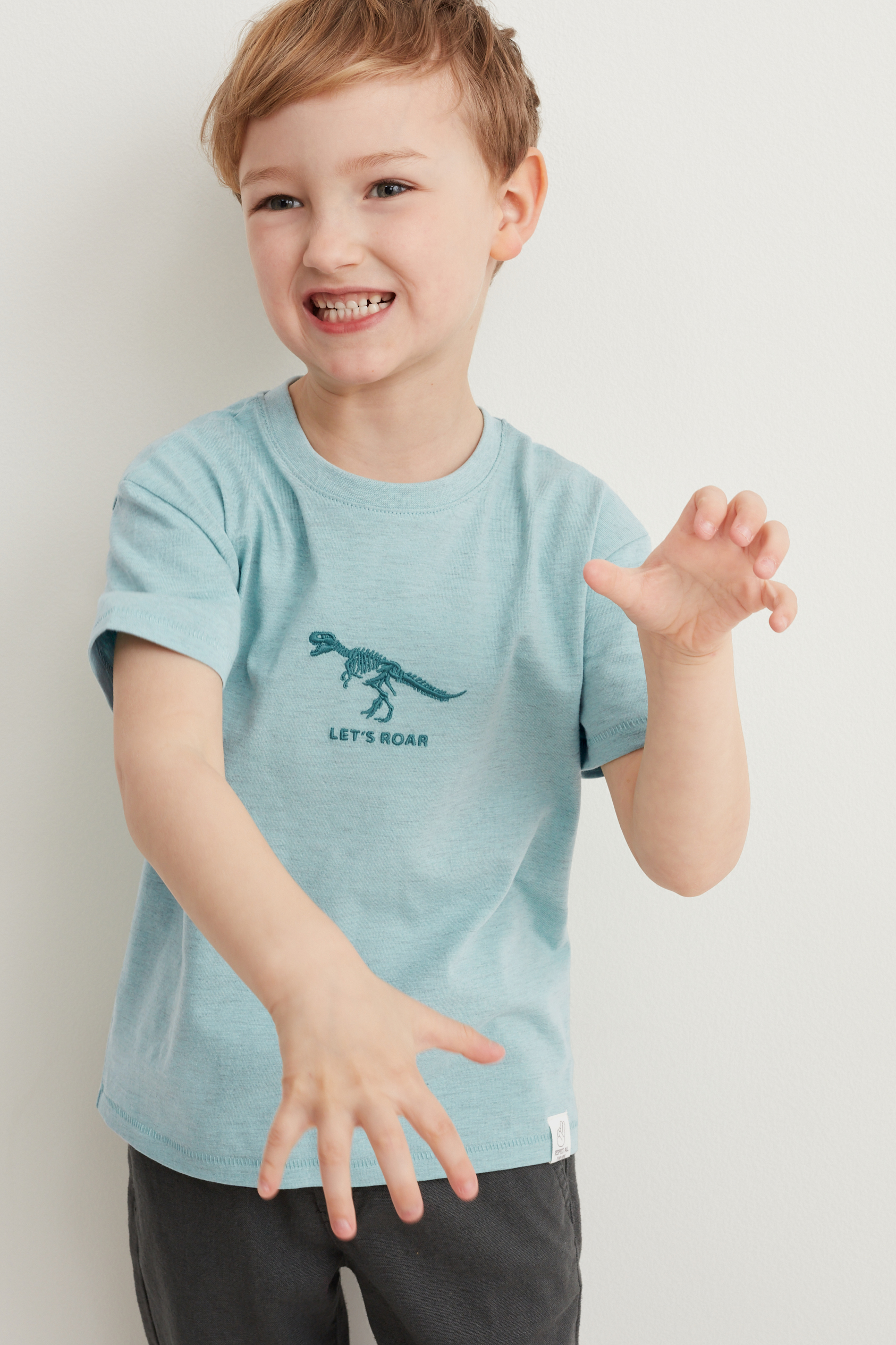 Dinosaur - short sleeve T-shirt